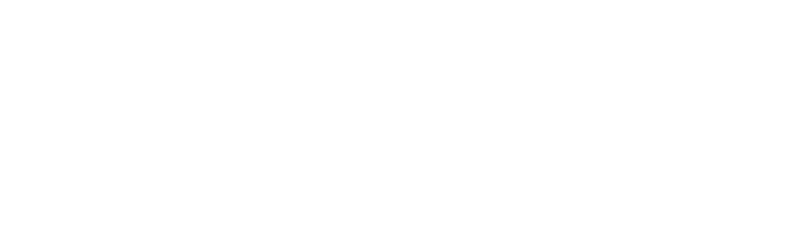 Megaficus logo full white