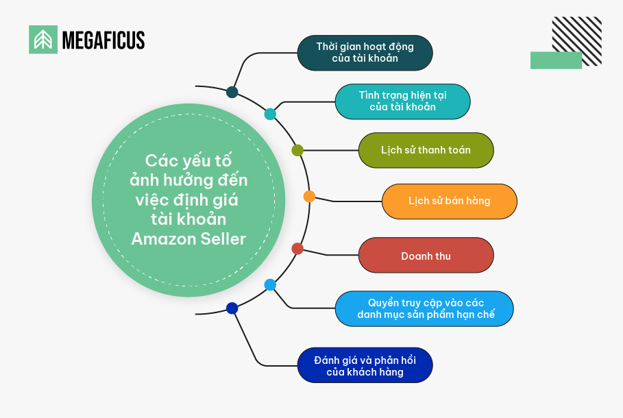 Định giá tài khoản Amazon Seller