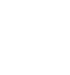 vector 2