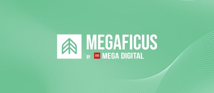 Megaficus