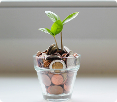 Profit-first approach​