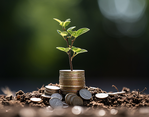 Scaling & Expansion​