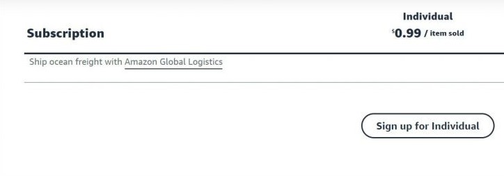 What is an Amazon individual seller?