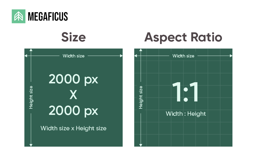 Optimize Your Product Listings