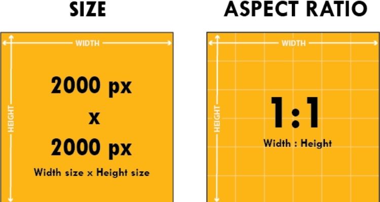 Follow Platform Design Standards