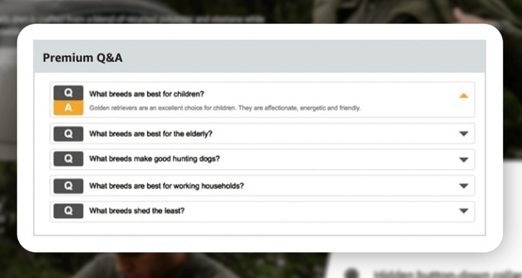 Include a Q&A Section