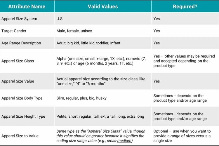 Key Apparel Size Attributes Amazon Requires